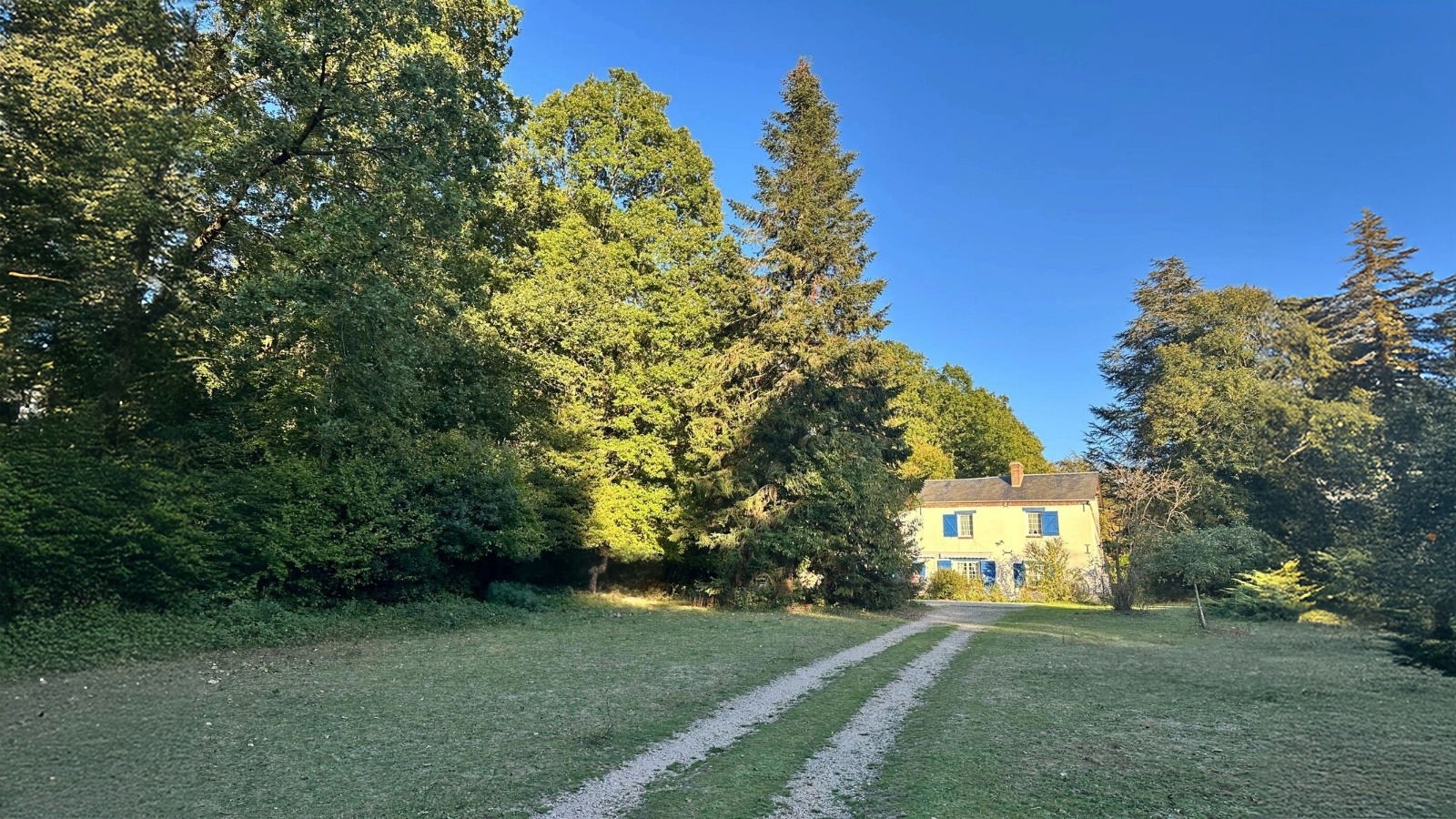 Paarden in een open, groen landschap